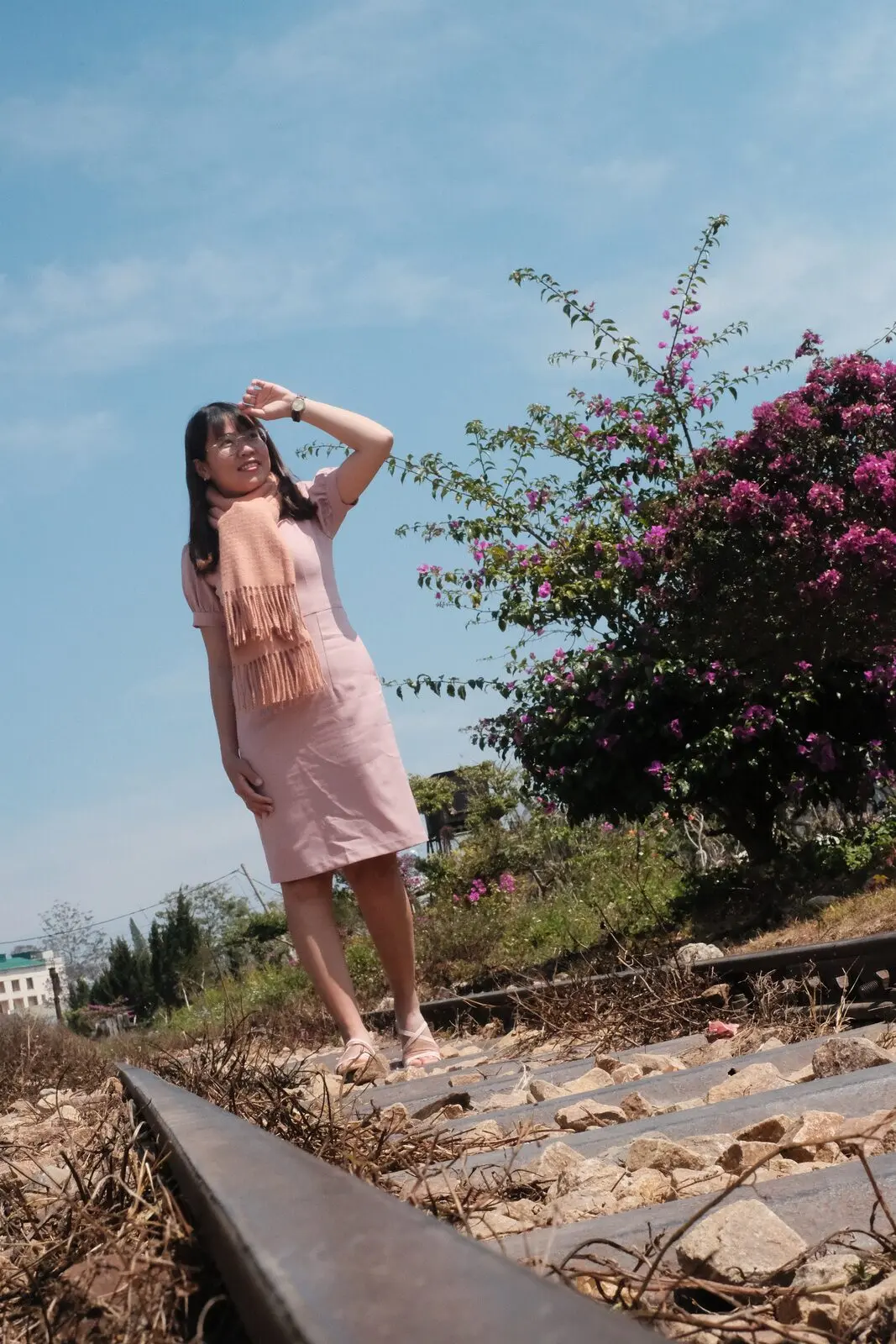 Loo đứng trên đường ray cũ cạnh bụi hoa giấy