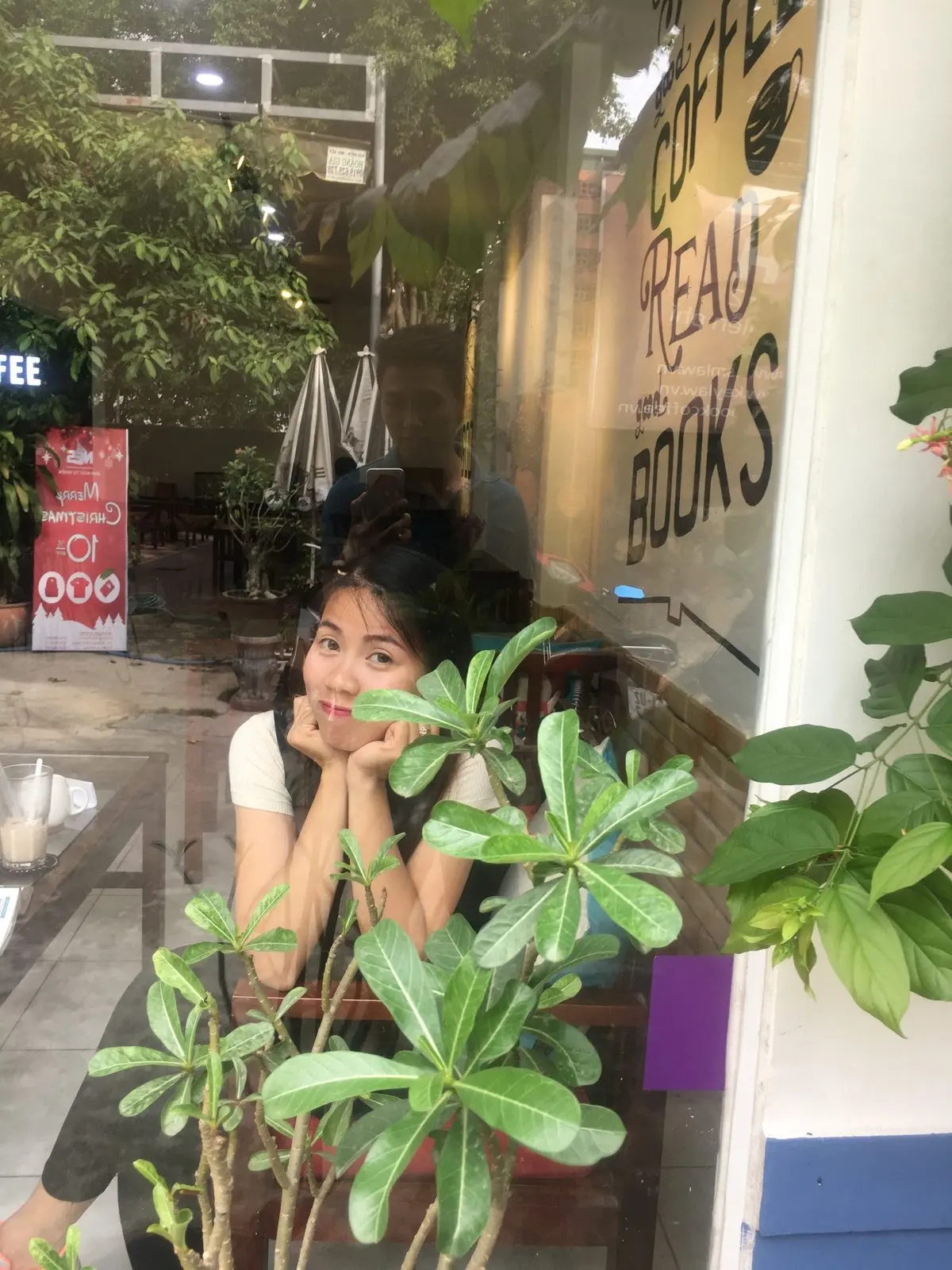 Loo chống cằm ngồi sau chậu cây ở một quán cà phê sách