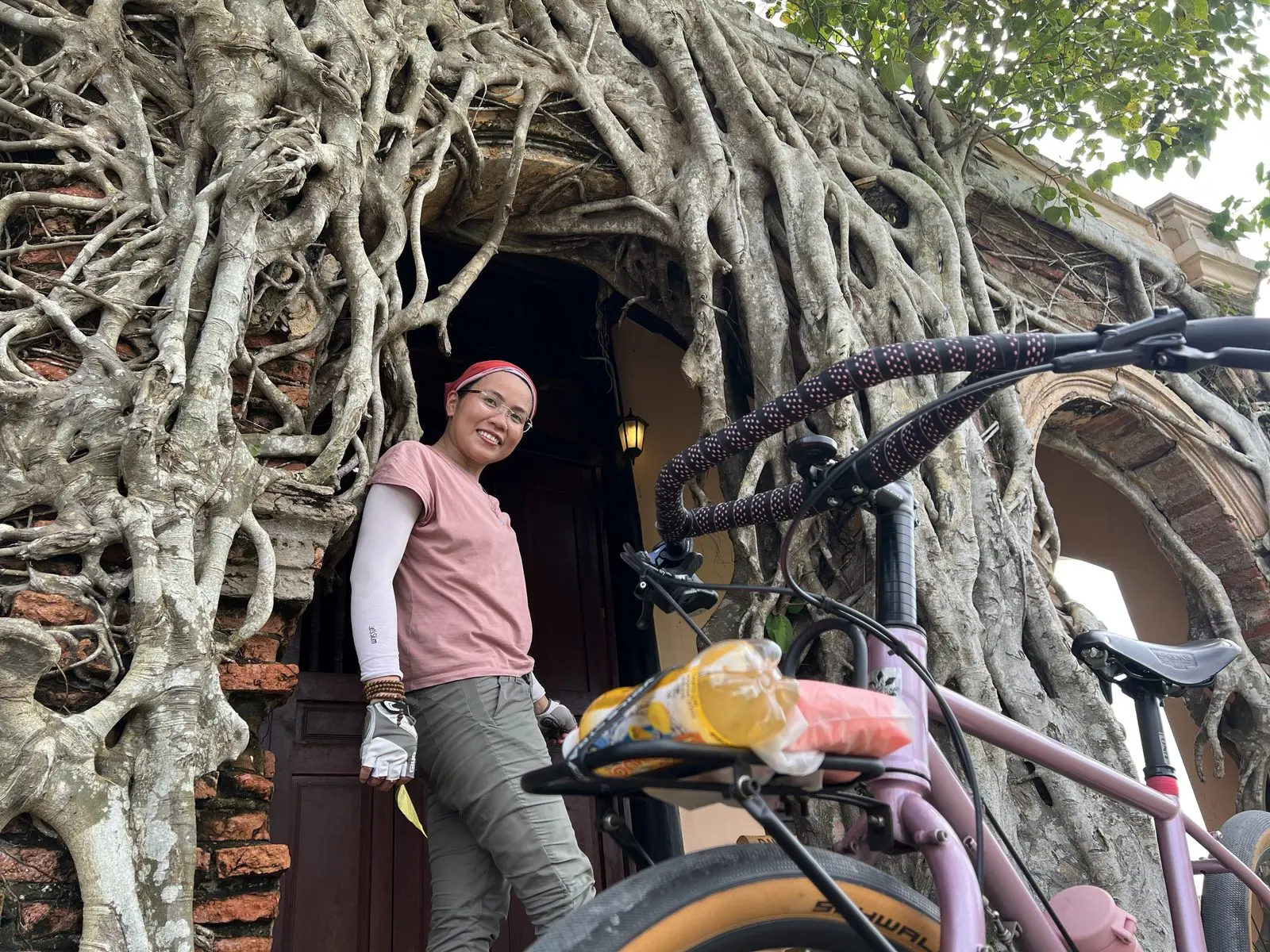 Loo đứng cạnh xe đạp dưới bộ rễ cây cổ thụ