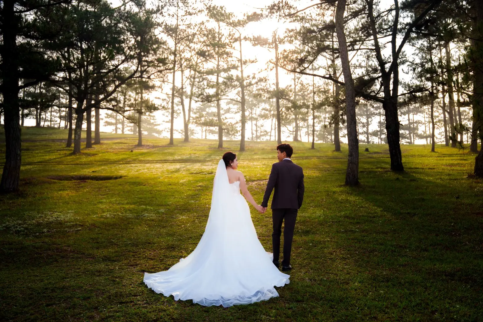 Loo và Boo nắm tay bước vào rừng thông lúc nắng chiều